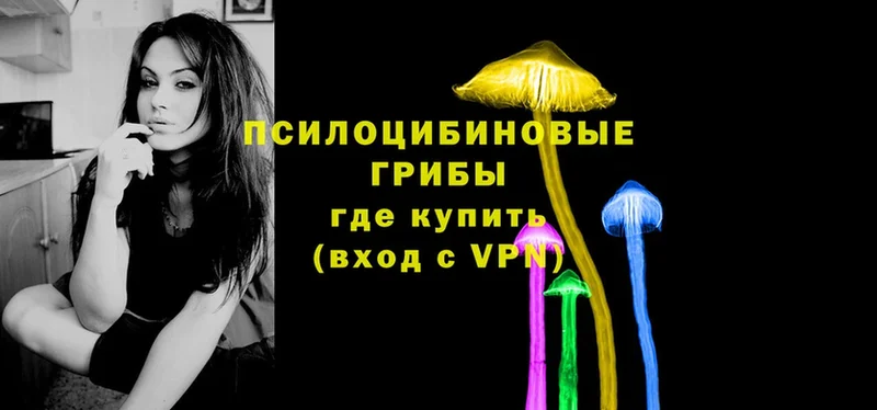 купить  сайты  мориарти какой сайт  Галлюциногенные грибы Magic Shrooms  Ковдор 